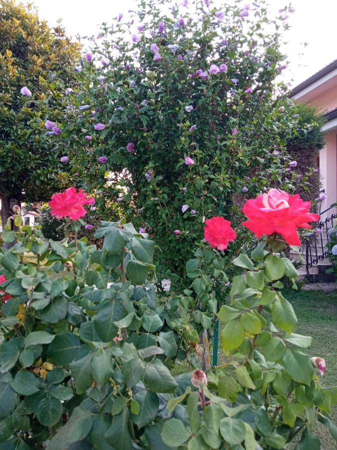 B&B L'Ortensia Vignolo 外观 照片