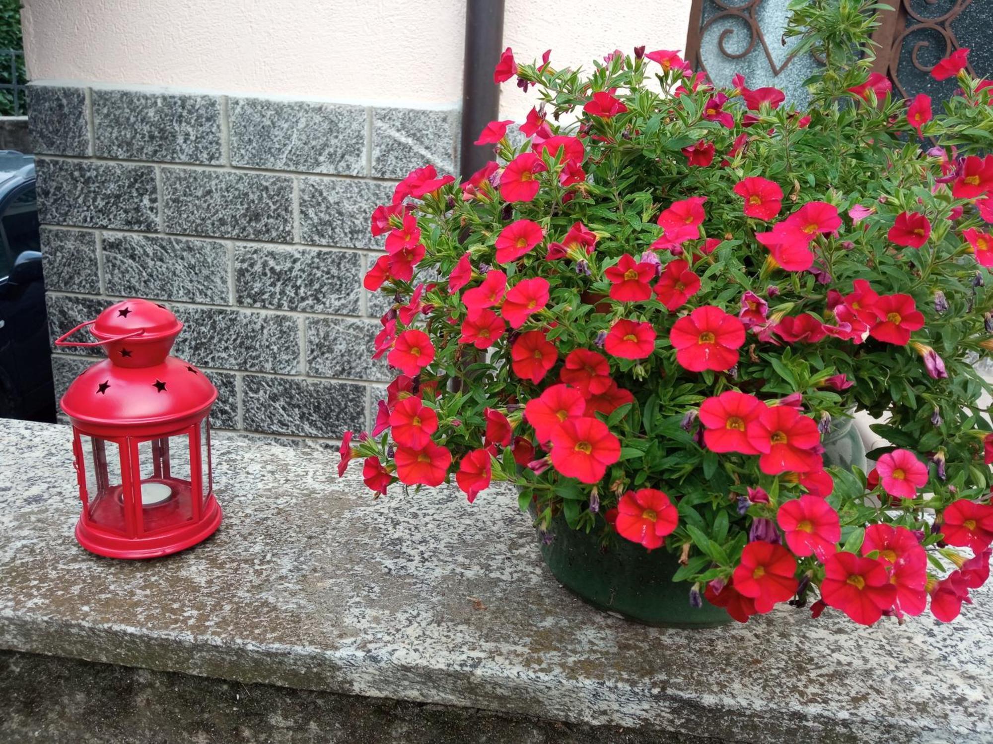 B&B L'Ortensia Vignolo 外观 照片